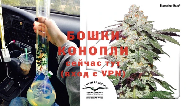 трава Армянск