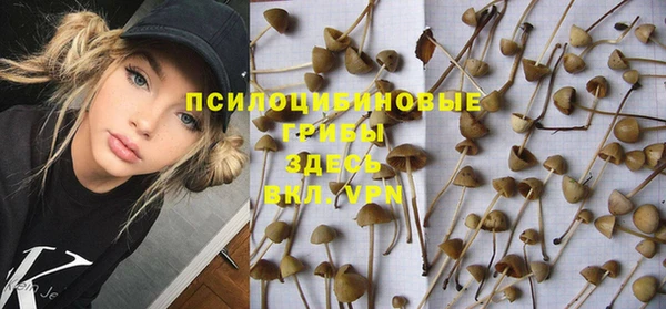 гашик Аркадак