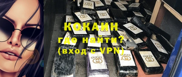 гашик Аркадак