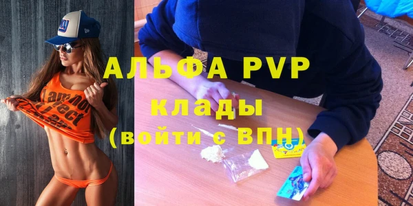 сатива Арсеньев