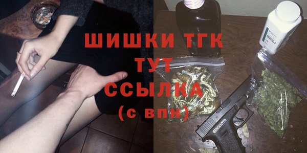 сатива Арсеньев