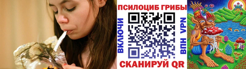 купить наркоту  Пошехонье  Псилоцибиновые грибы Psilocybine cubensis 